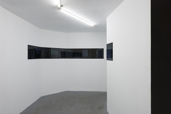 Installation view.