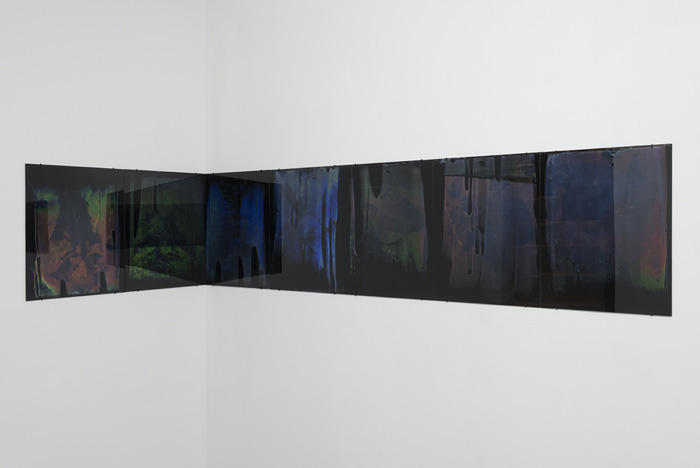 Installation view.