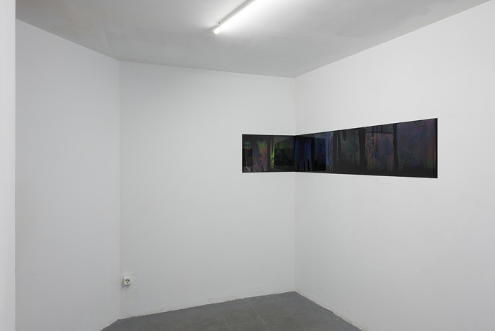 Installation view.
