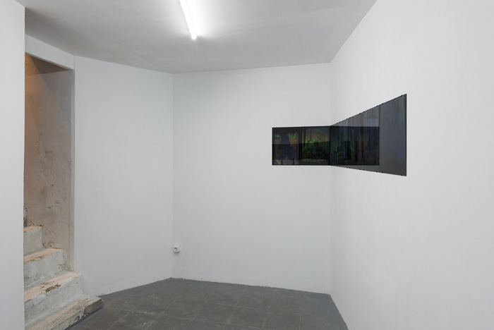 Installation view.