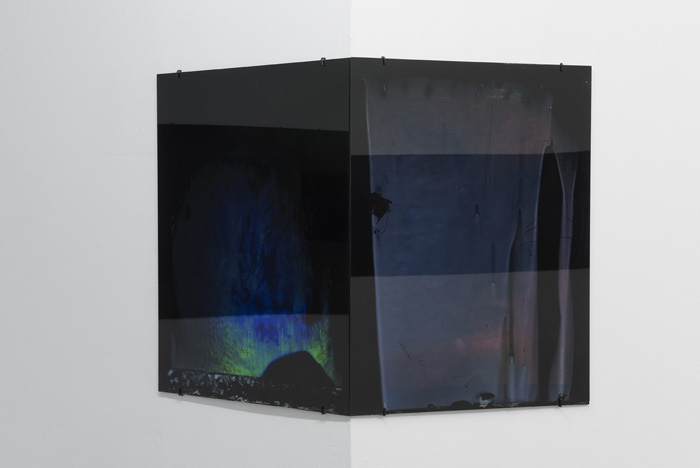 Installation view.