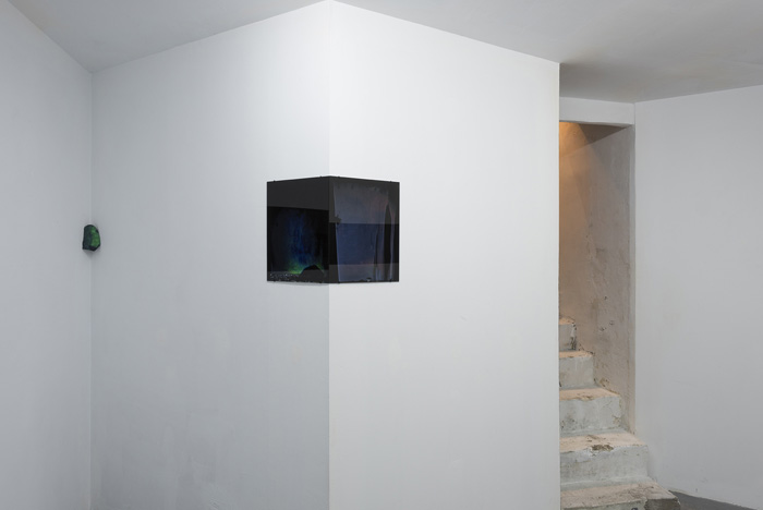 Installation view.