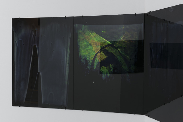 Installation view.