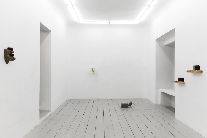 Installation view.