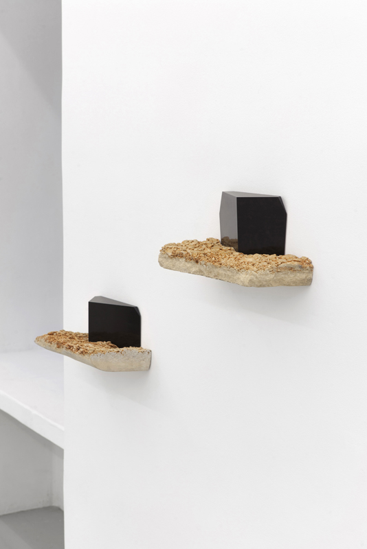 Installation view.