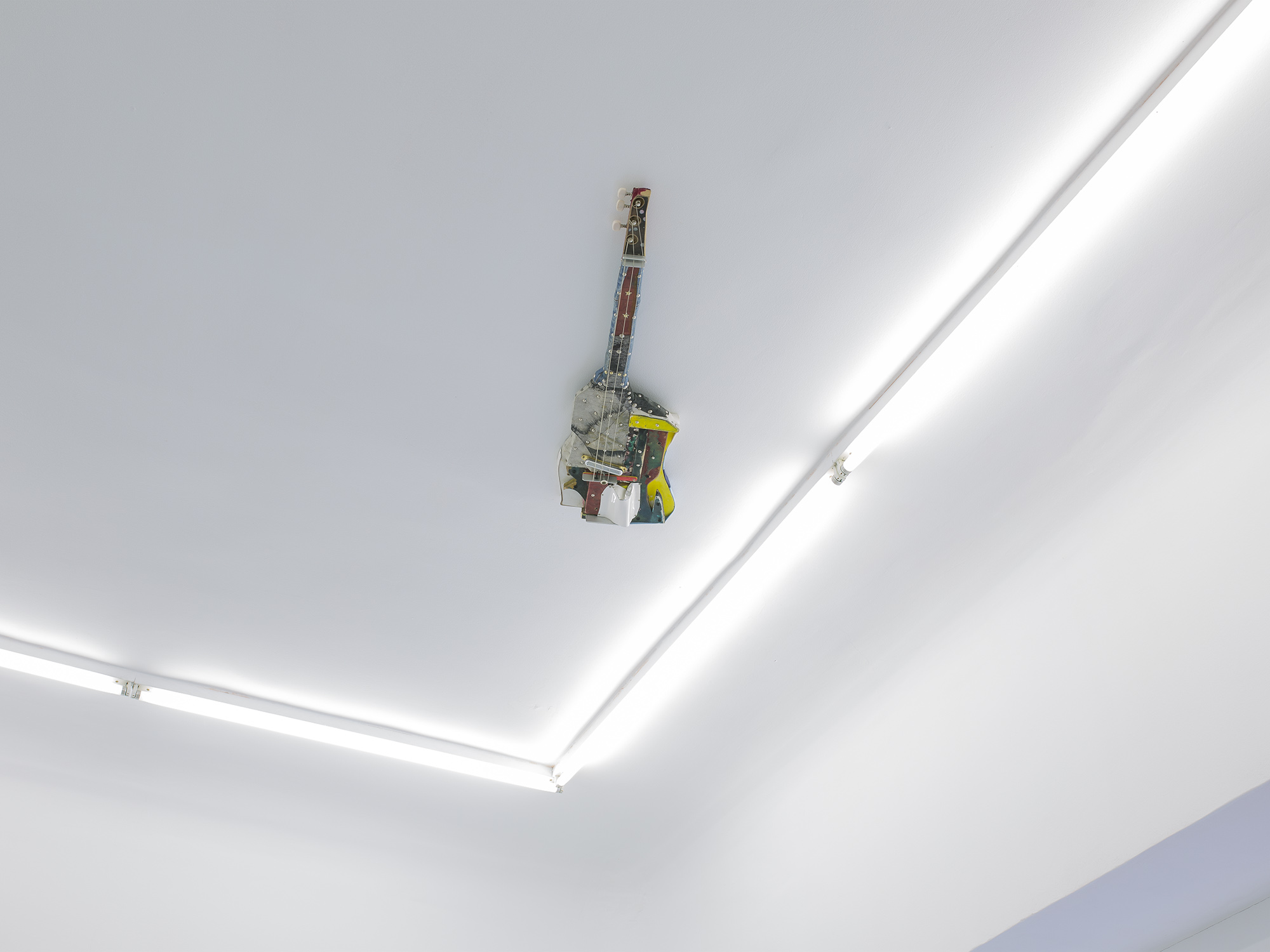 Mondo Cane. Installation view.