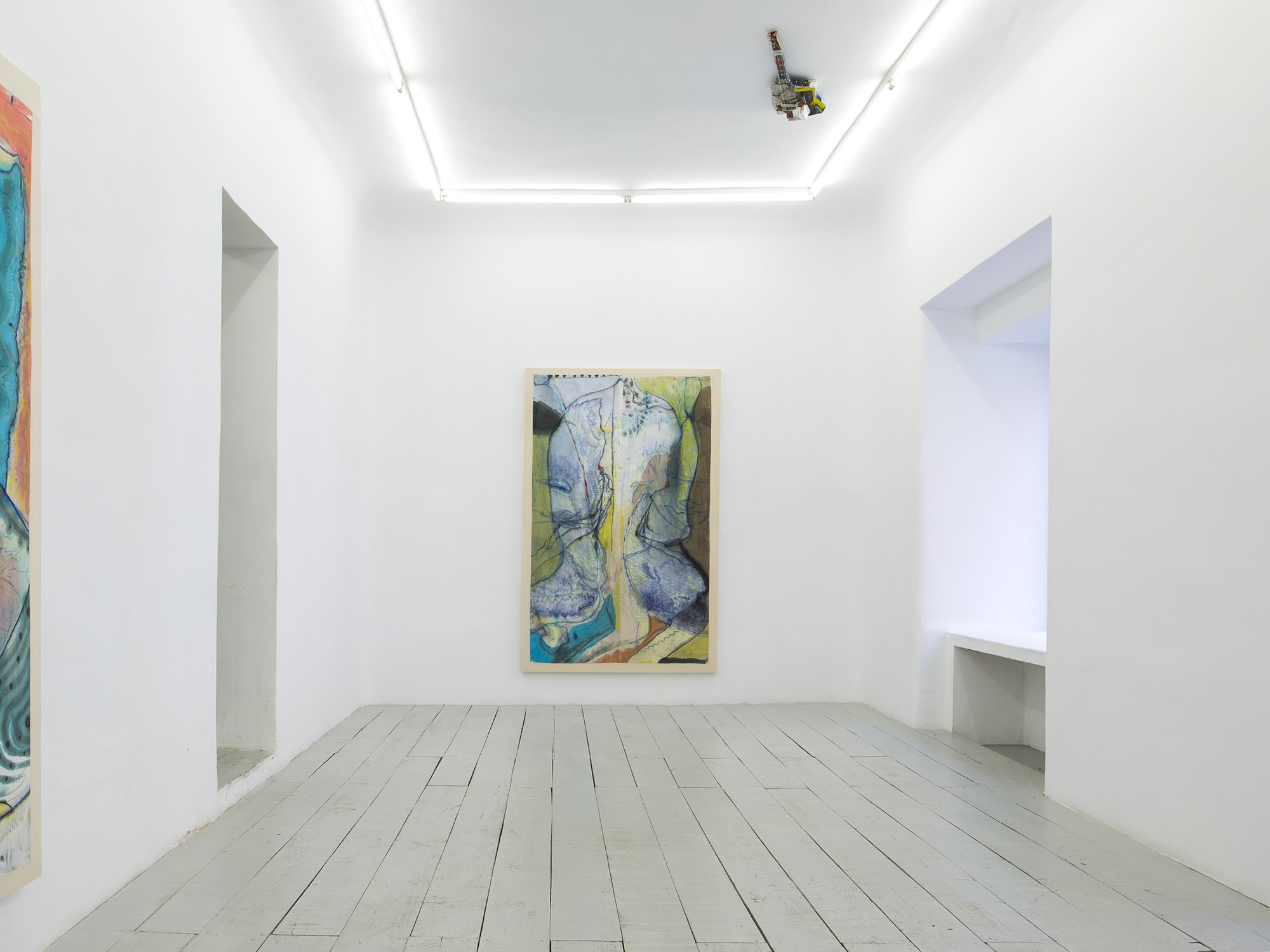 Mondo Cane. Installation view.