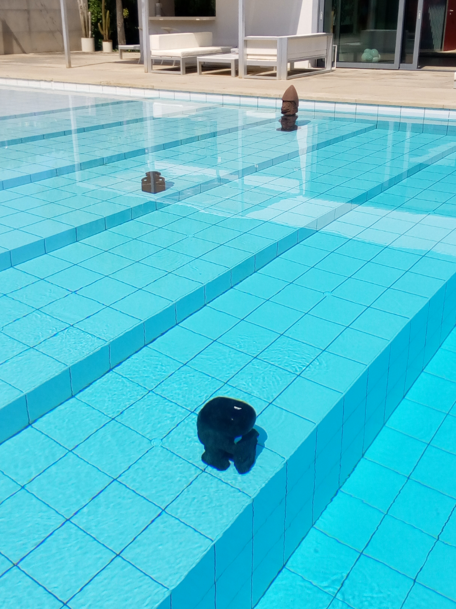 Fresh meat in the shark pool. Installation views.