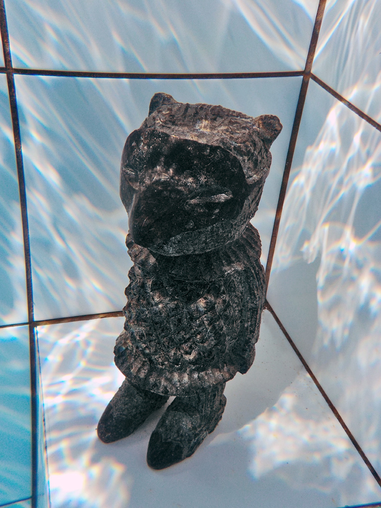 Fresh meat in the shark pool. Installation views