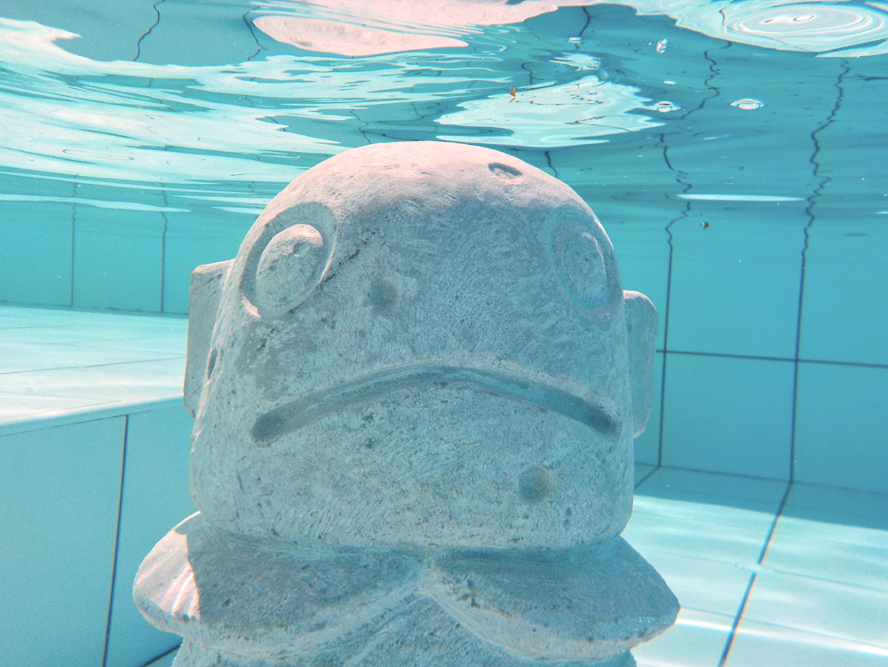 Fresh meat in the shark pool. Installation views