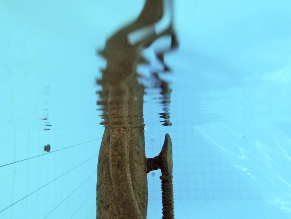 Fresh meat in the shark pool. Installation views