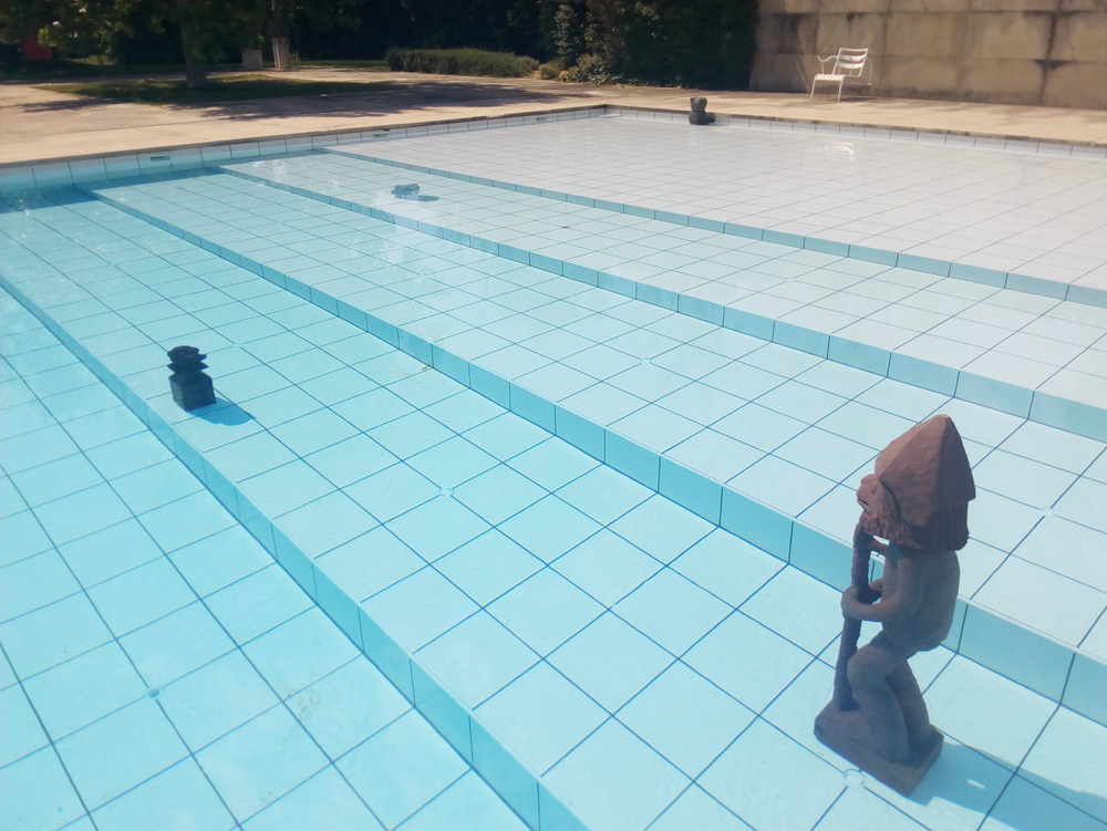 Fresh meat in the shark pool. Installation views