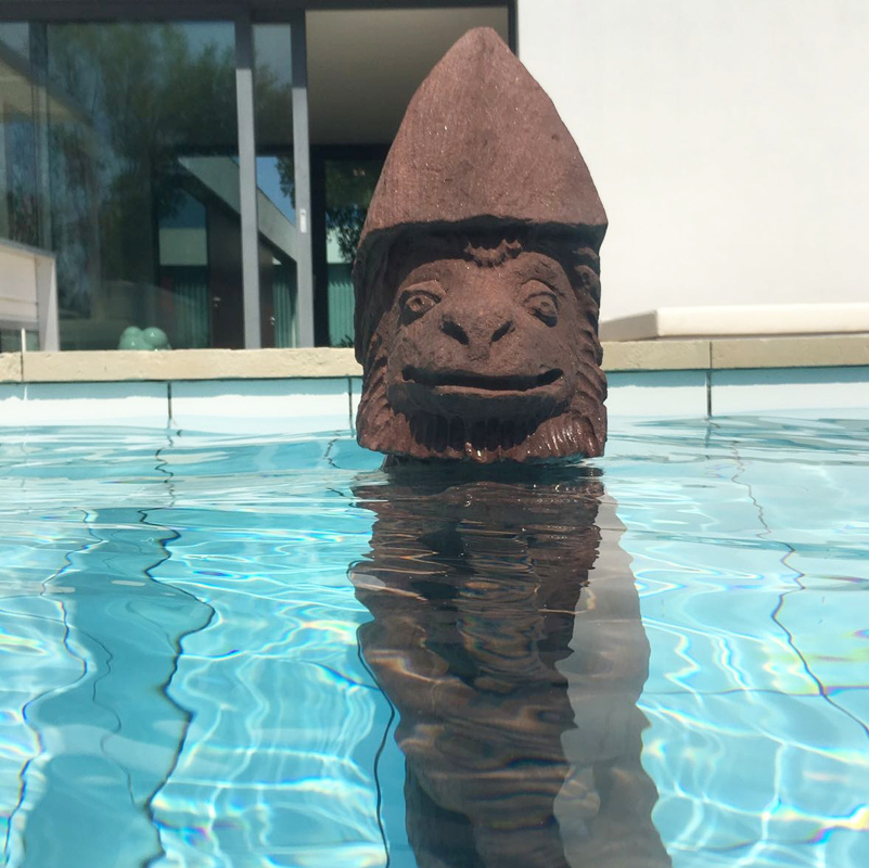 Fresh meat in the shark pool. Installation views