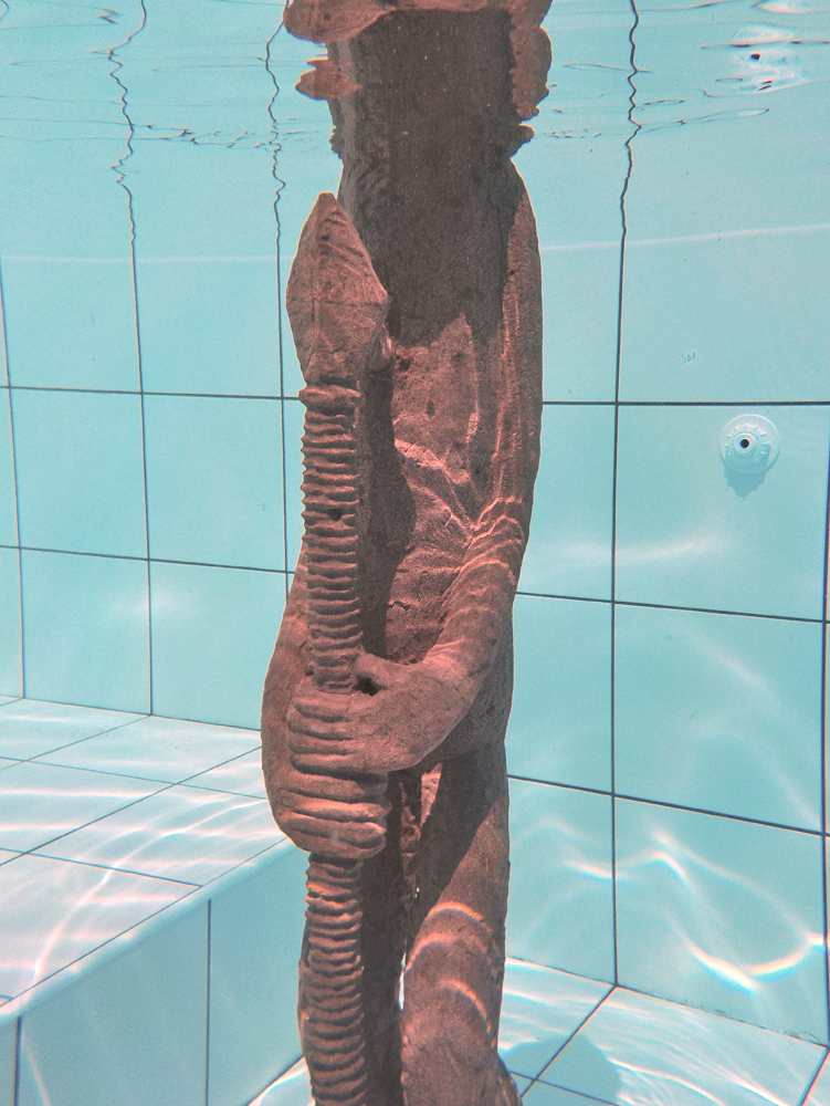 Fresh meat in the shark pool. Installation views.