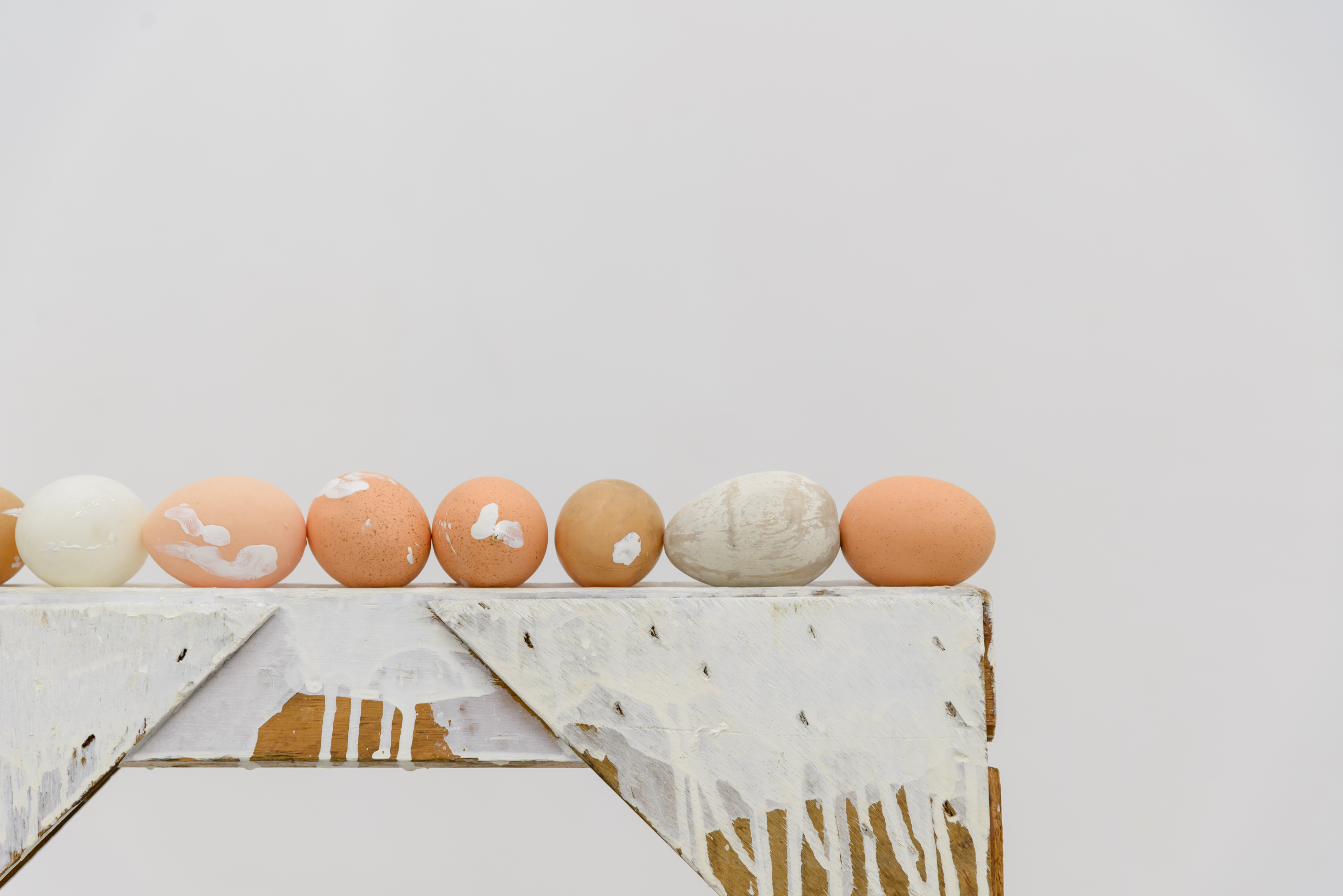 MATT SMOAK / The Sun, The Egg, The Finger / 13.09 - 10.11
