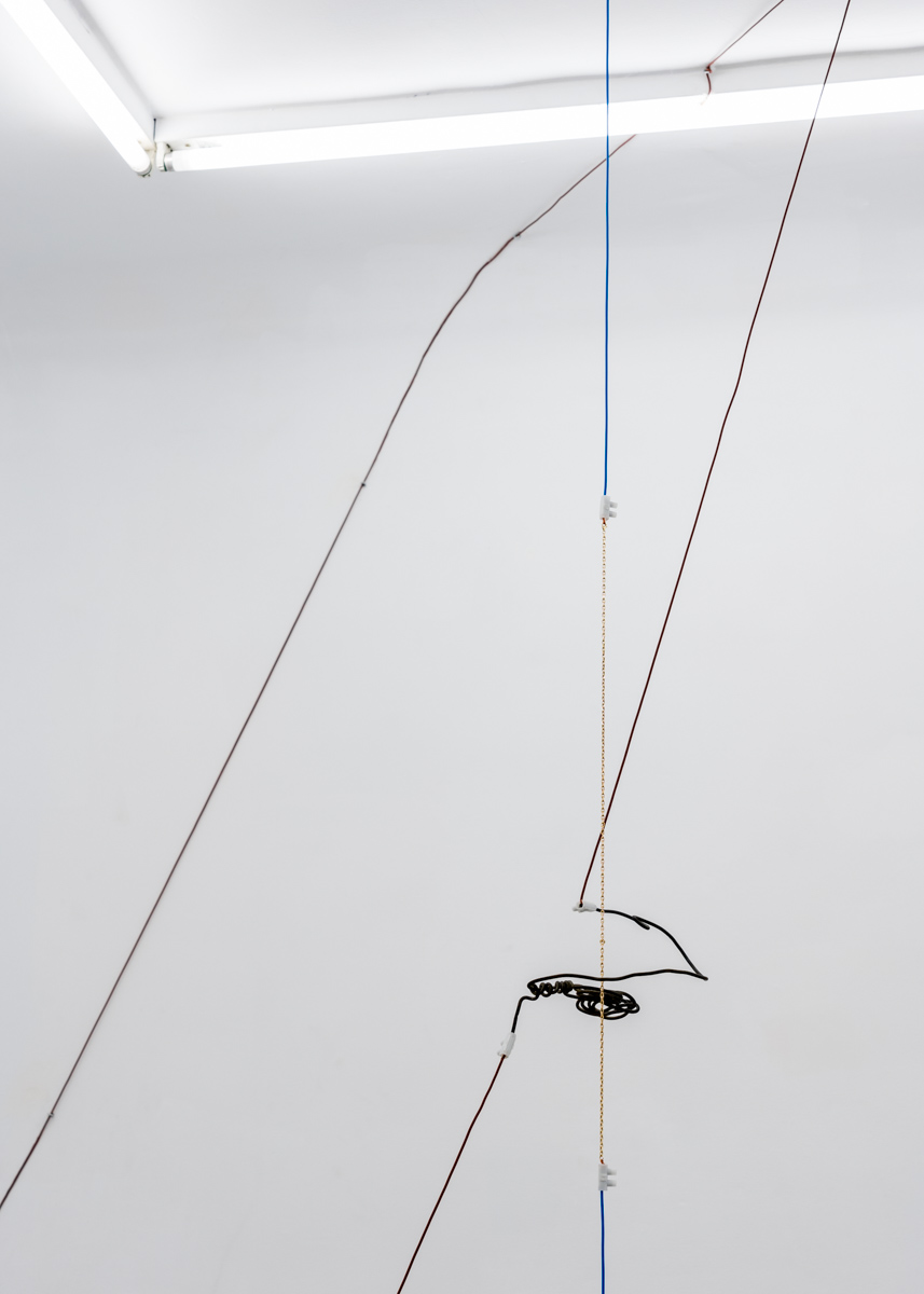Luis Bisbe / disconjuntividad  / 08.02 - 14.03  /  2020