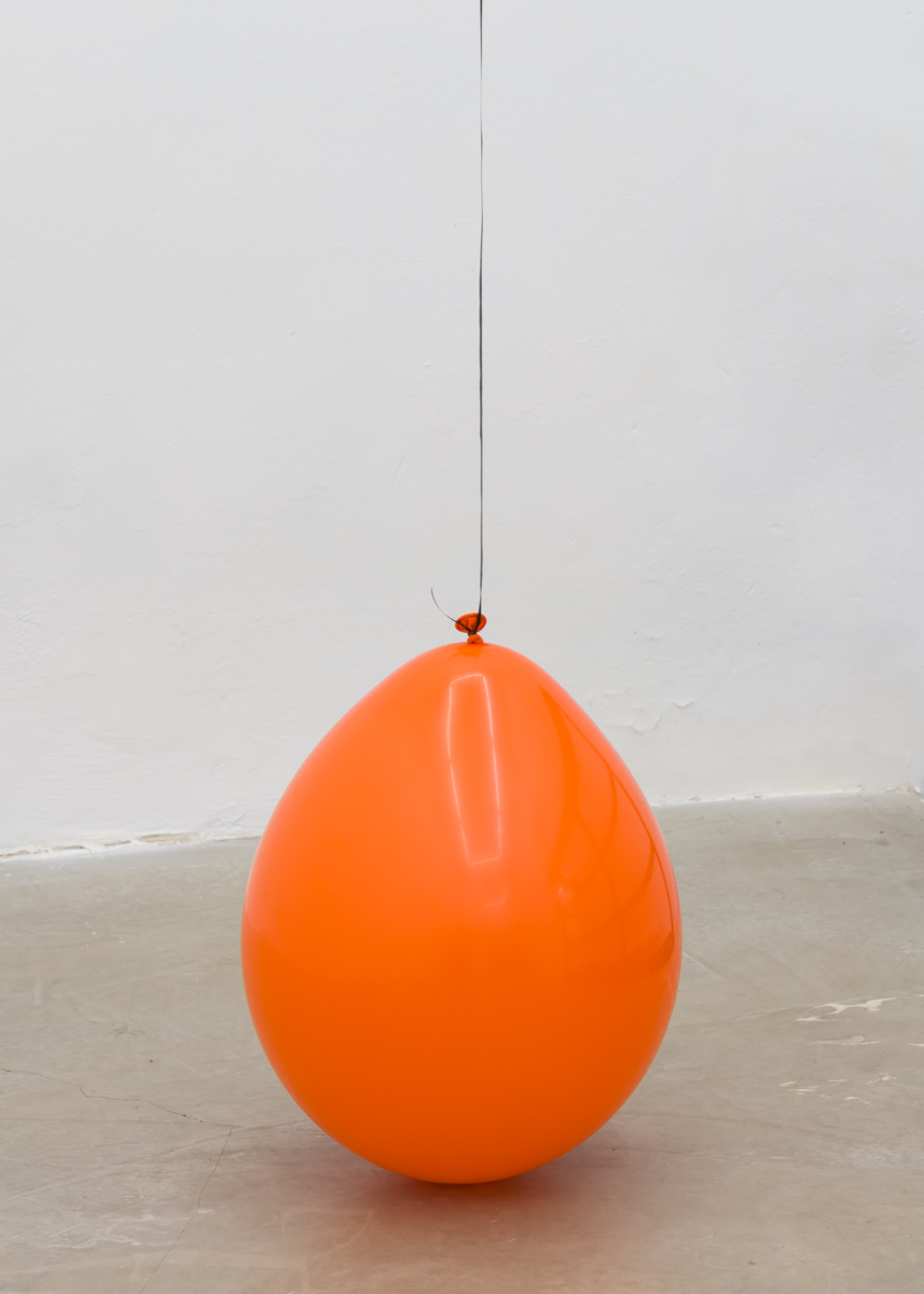 Luis Bisbe / disconjuntividad  / 08.02 - 14.03  /  2020