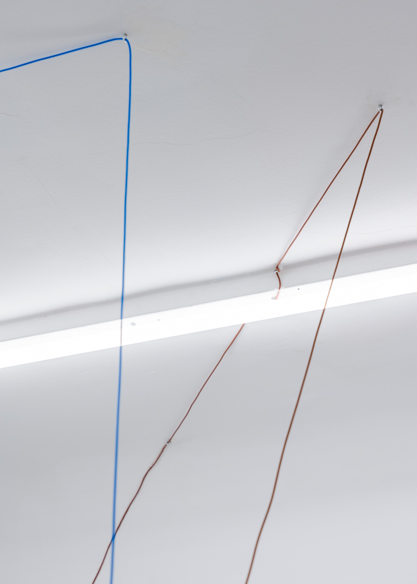 Luis Bisbe / disconjuntividad  / 08.02 - 14.03  /  2020