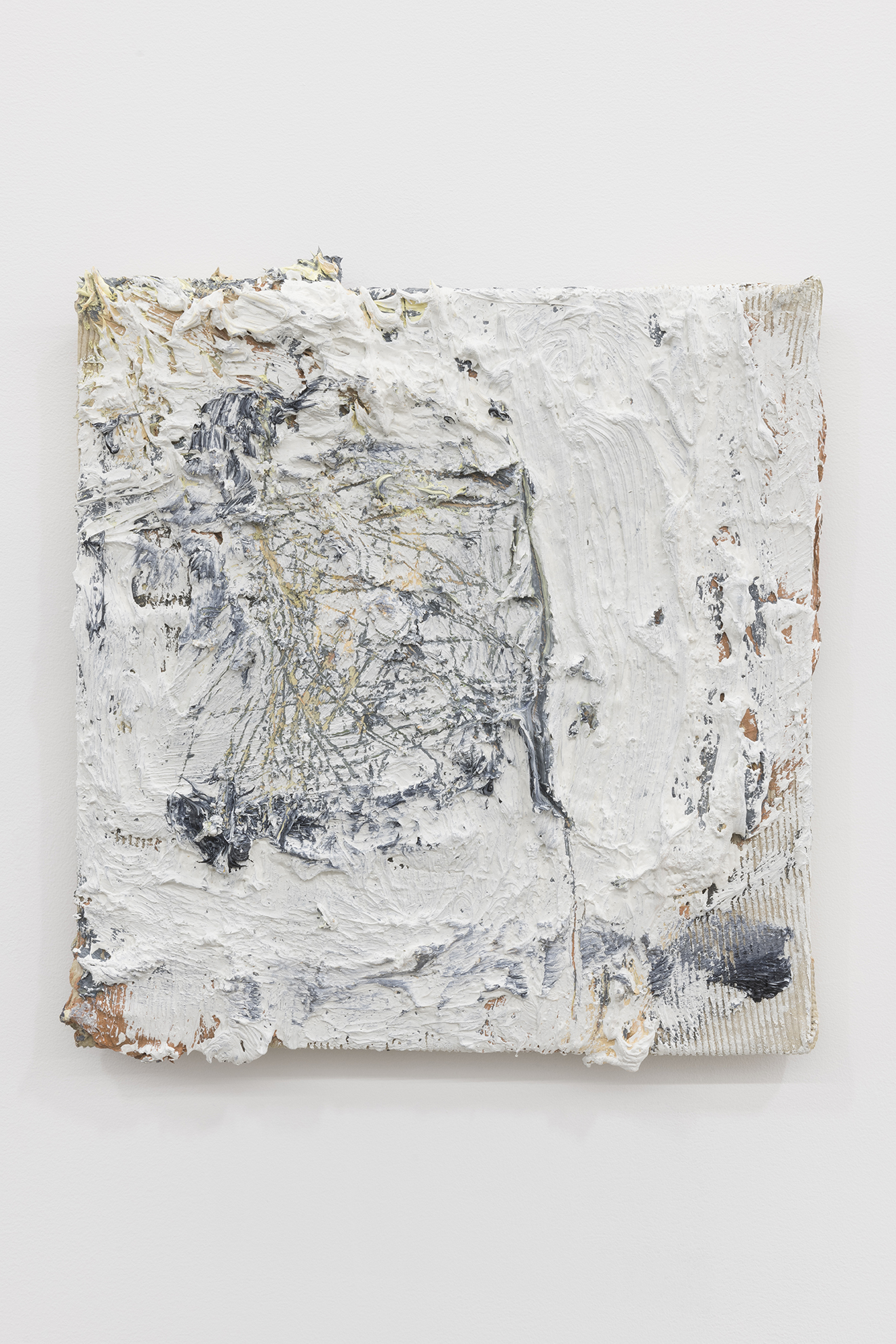 Lydia Gifford / Shape I know / 23.01 - 27.02