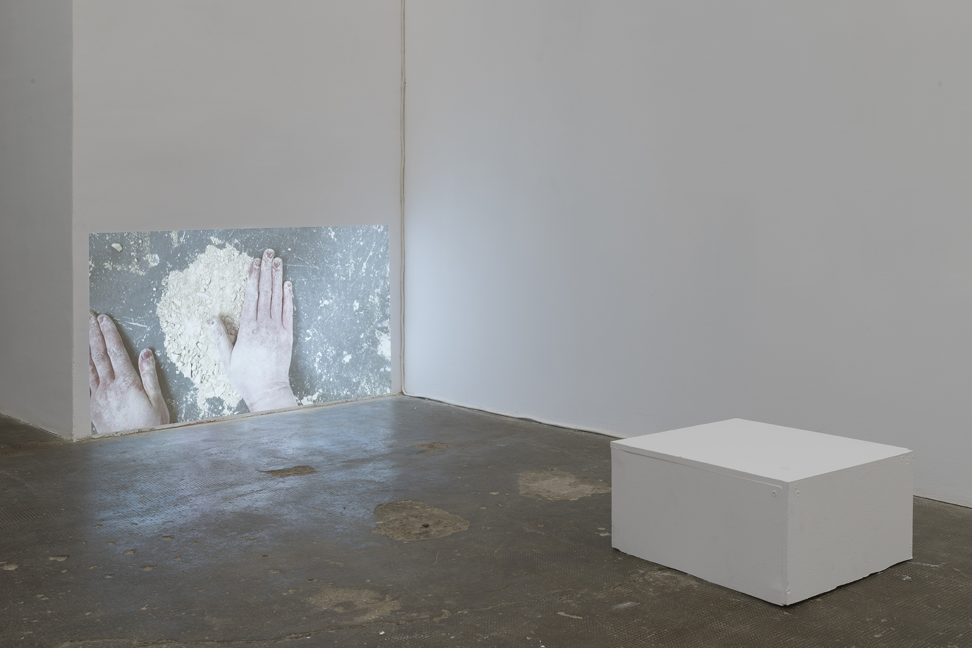 Lydia Gifford / Shape I know / 23.01 - 27.02