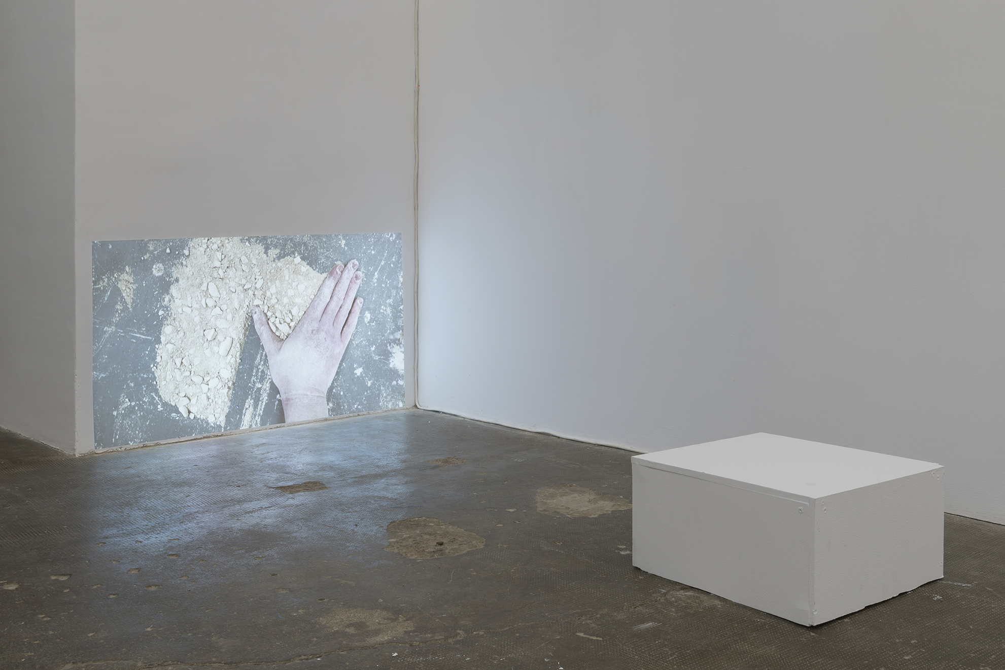 Lydia Gifford / Shape I know / 23.01 - 27.02