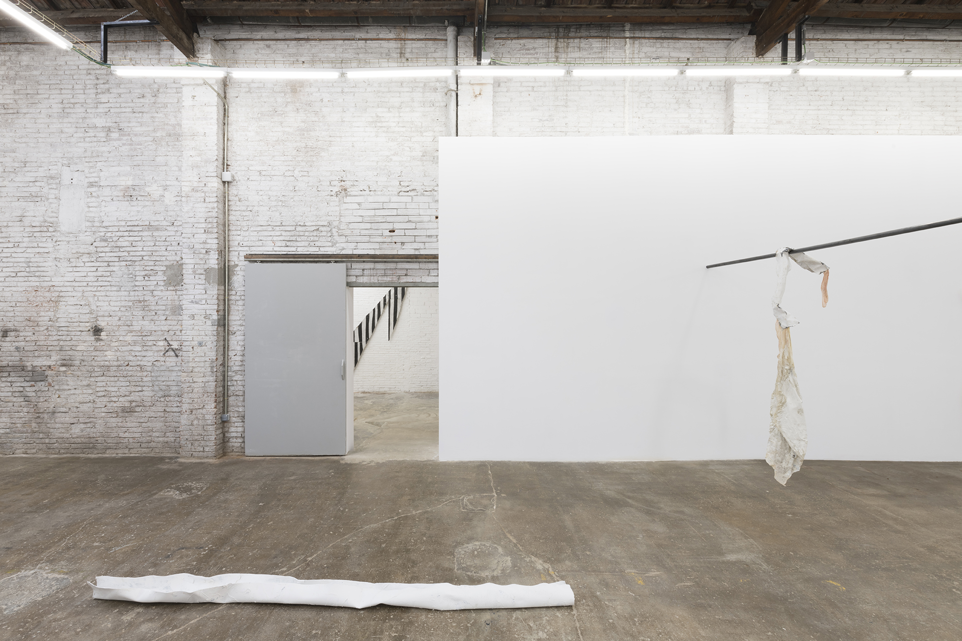 Lydia Gifford / Shape I know / 23.01 - 27.02