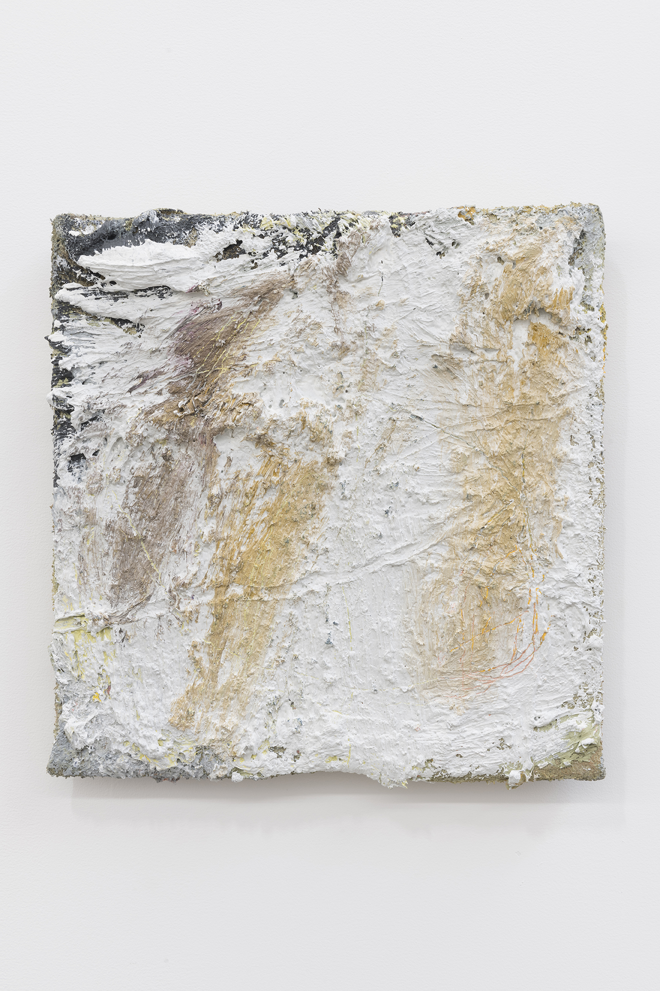 Lydia Gifford / Shape I know / 23.01 - 27.02