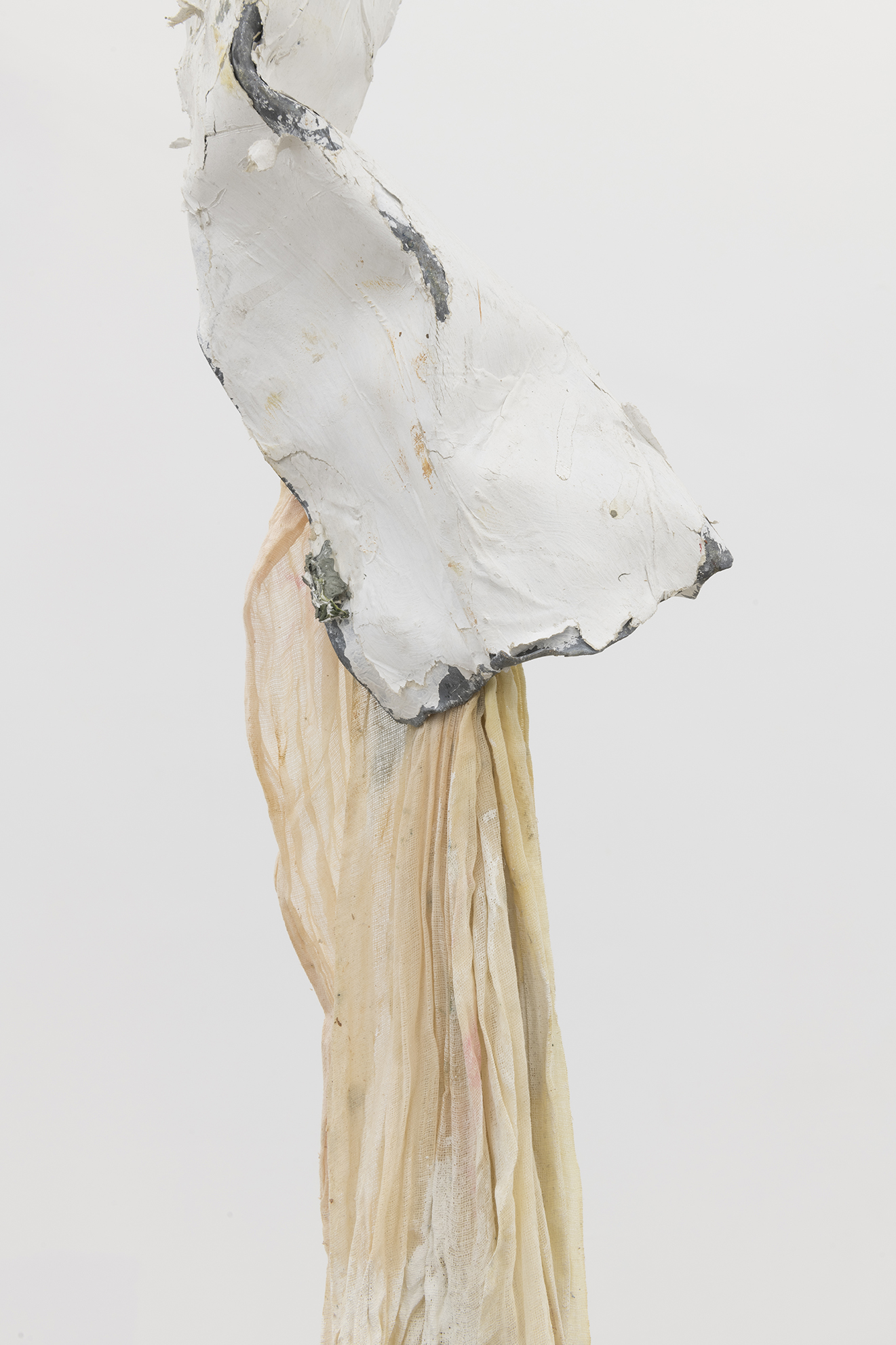 Lydia Gifford / Shape I know / 23.01 - 27.02