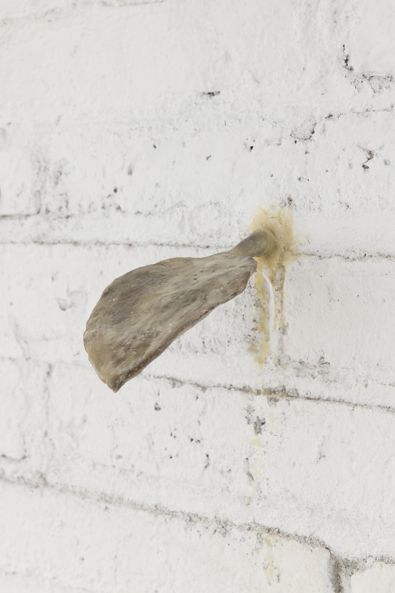 Mateo Revillo / Pentimento / 23.01 - 27.02