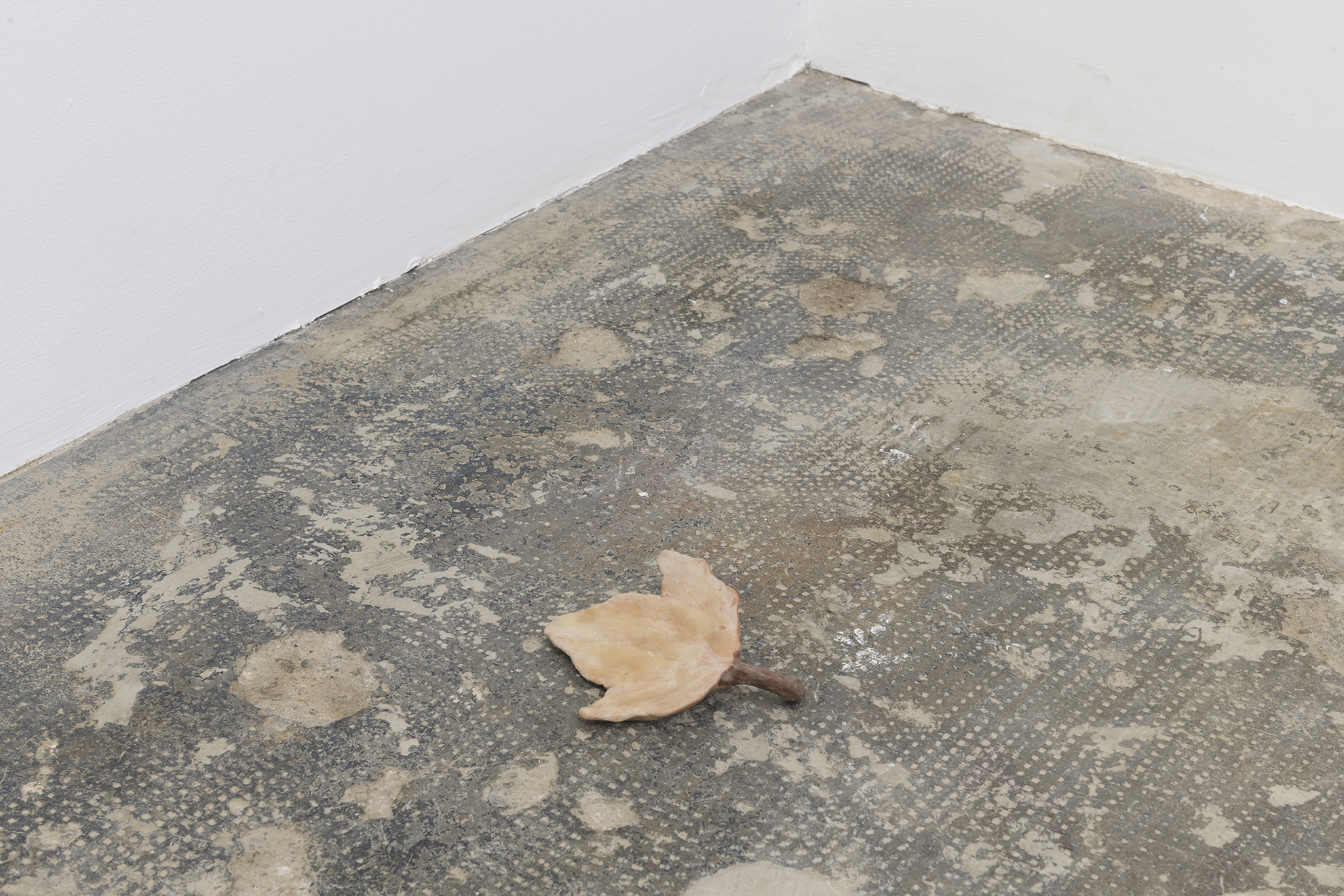 Mateo Revillo / Pentimento / 23.01 - 27.02