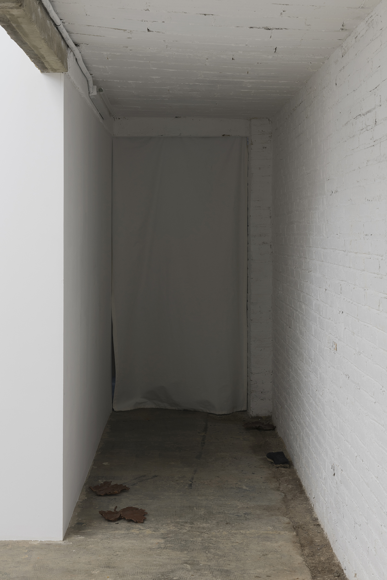 Mateo Revillo / Pentimento / 23.01 - 27.02