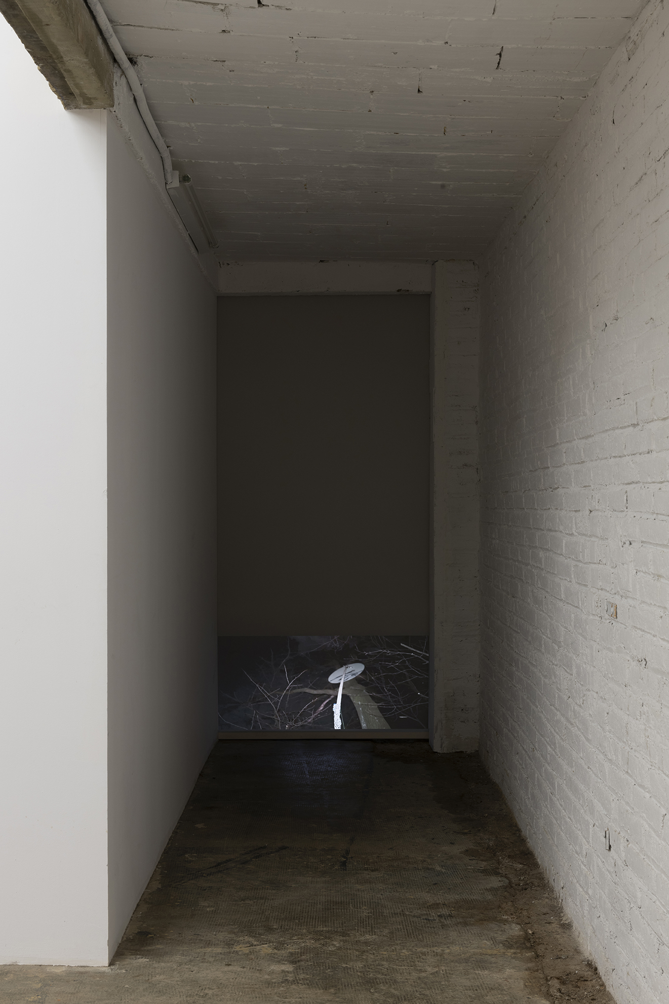 David Roth / Method Acting / 12.03 -27.04