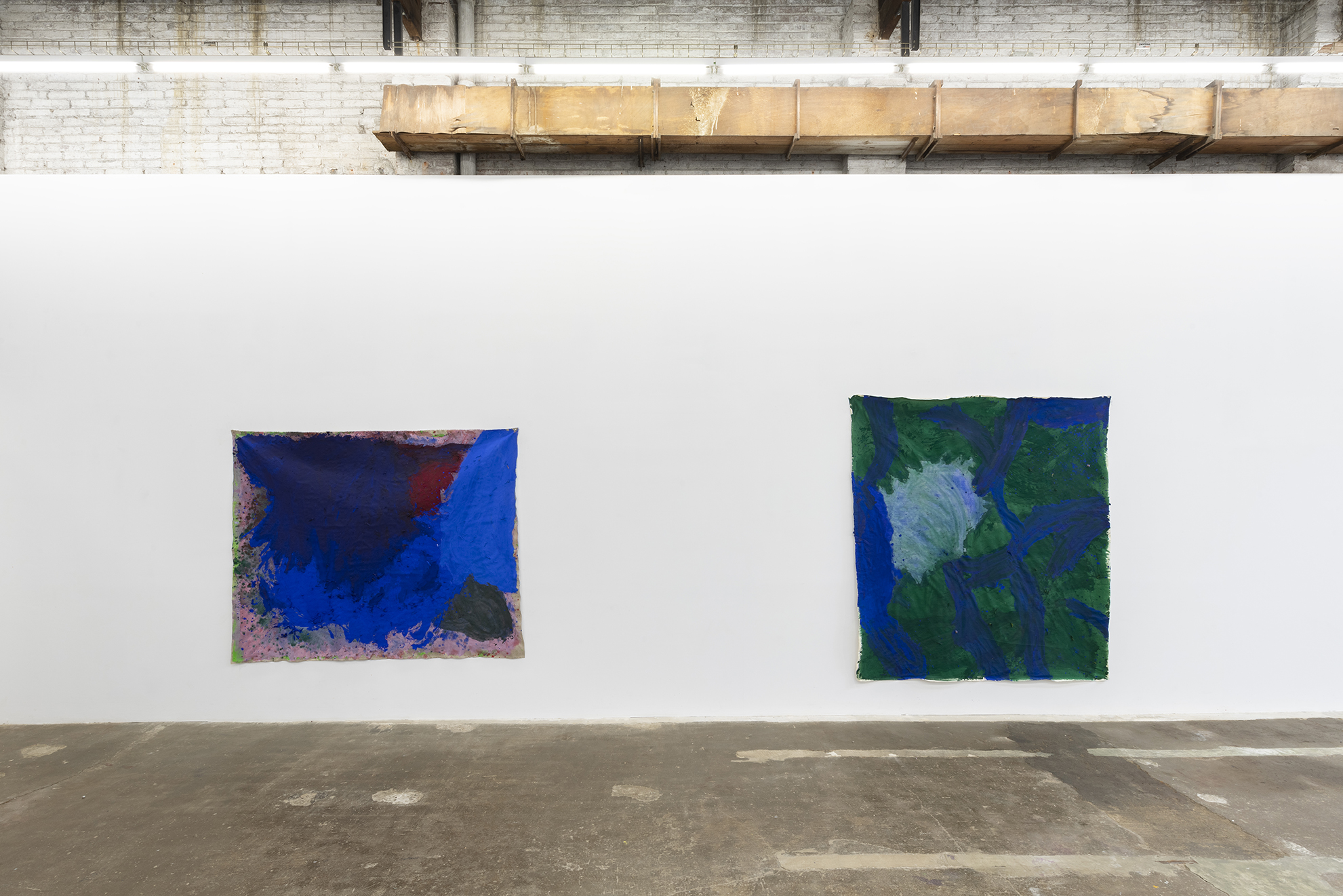 Alegría Summer Residency / David Roth