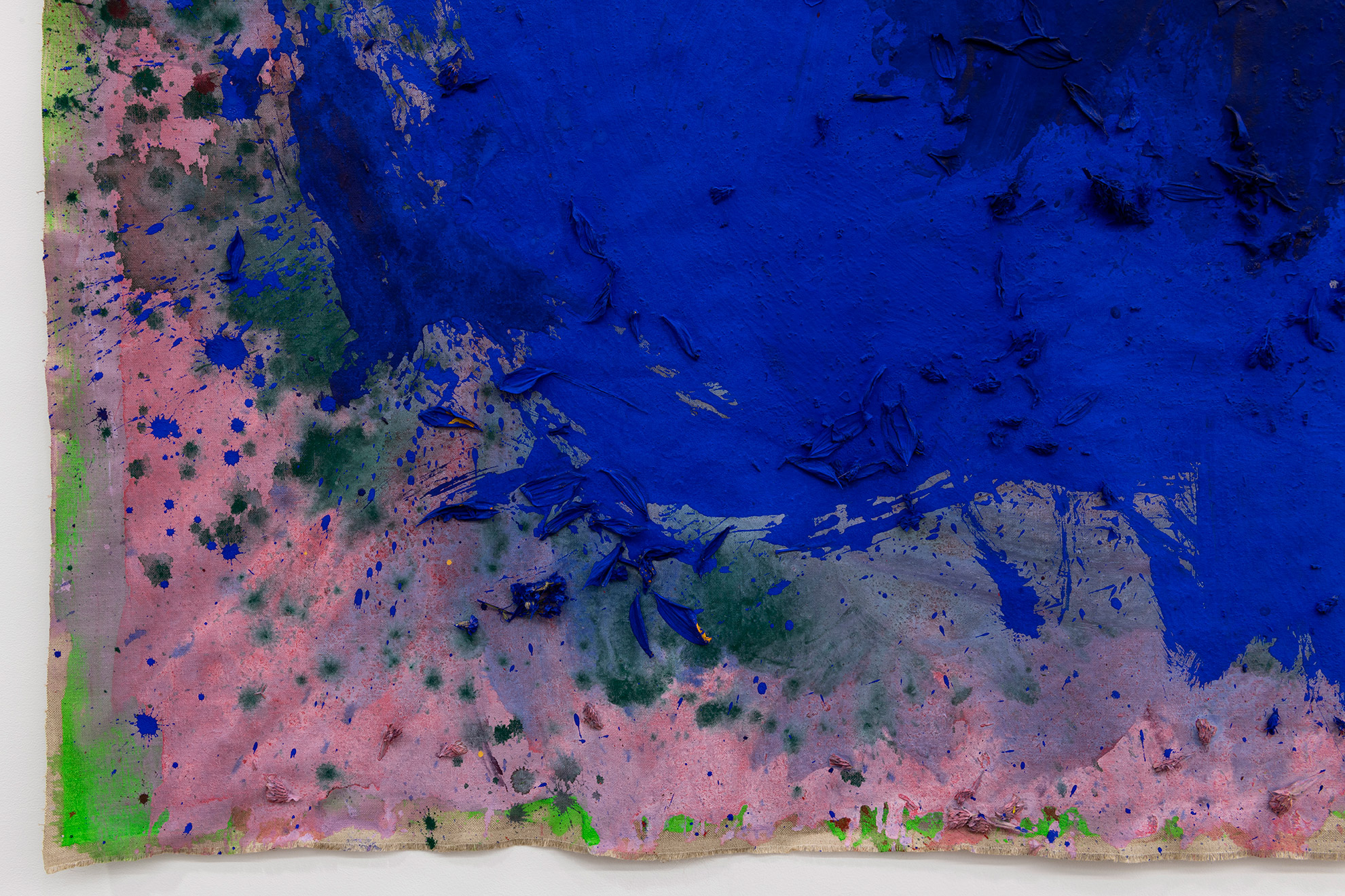 Alegria Summer Residency / David Roth