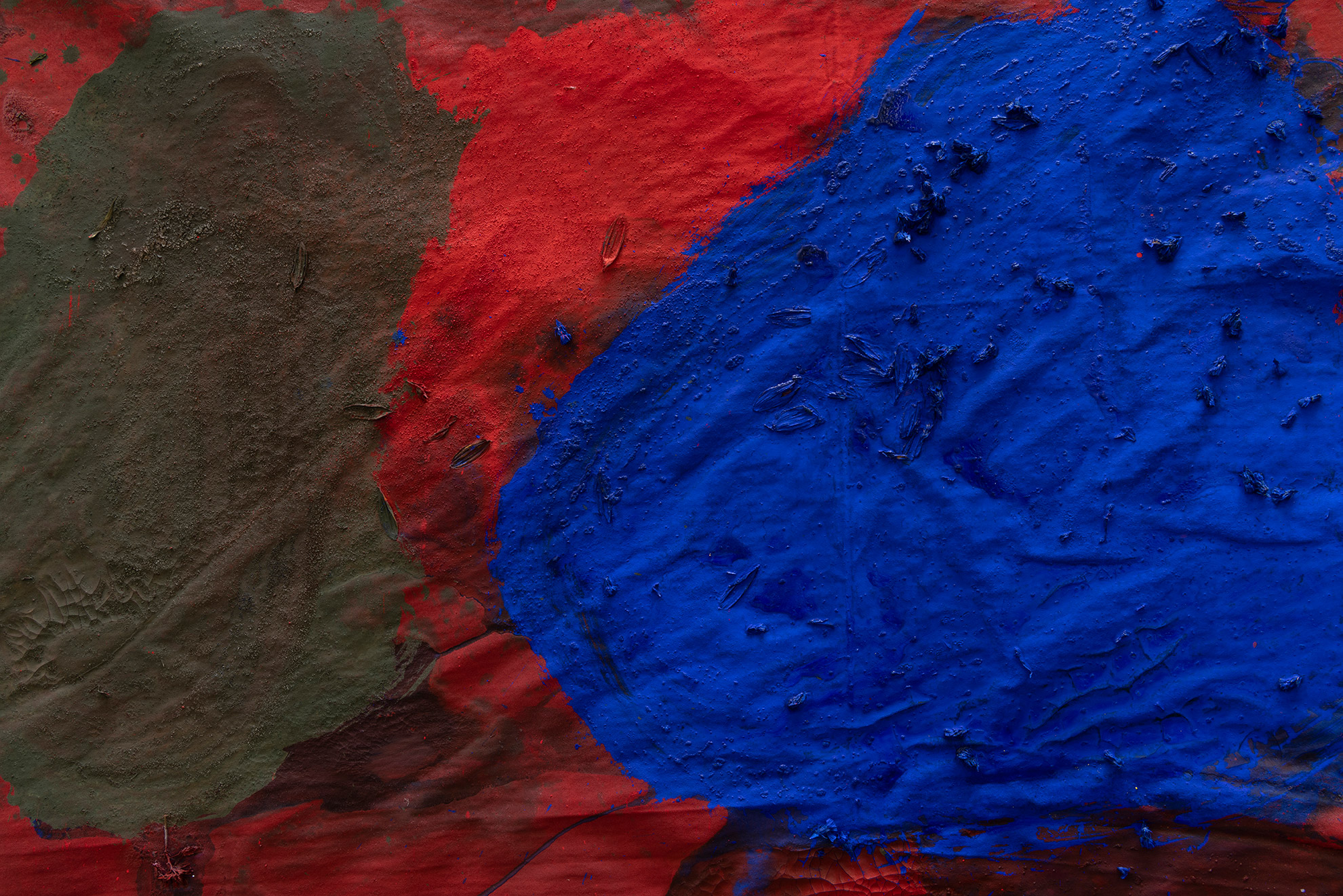 Alegria Summer Residency / David Roth