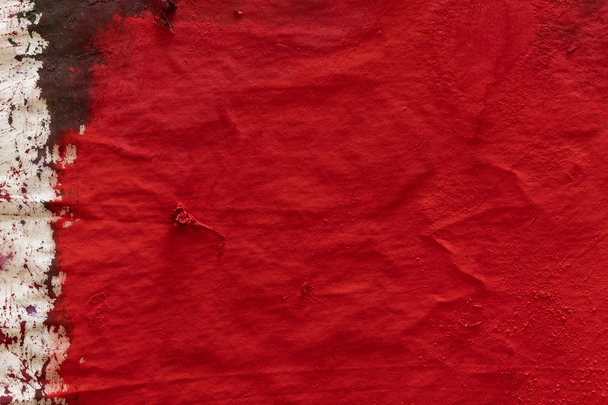 Alegria Summer Residency / David Roth