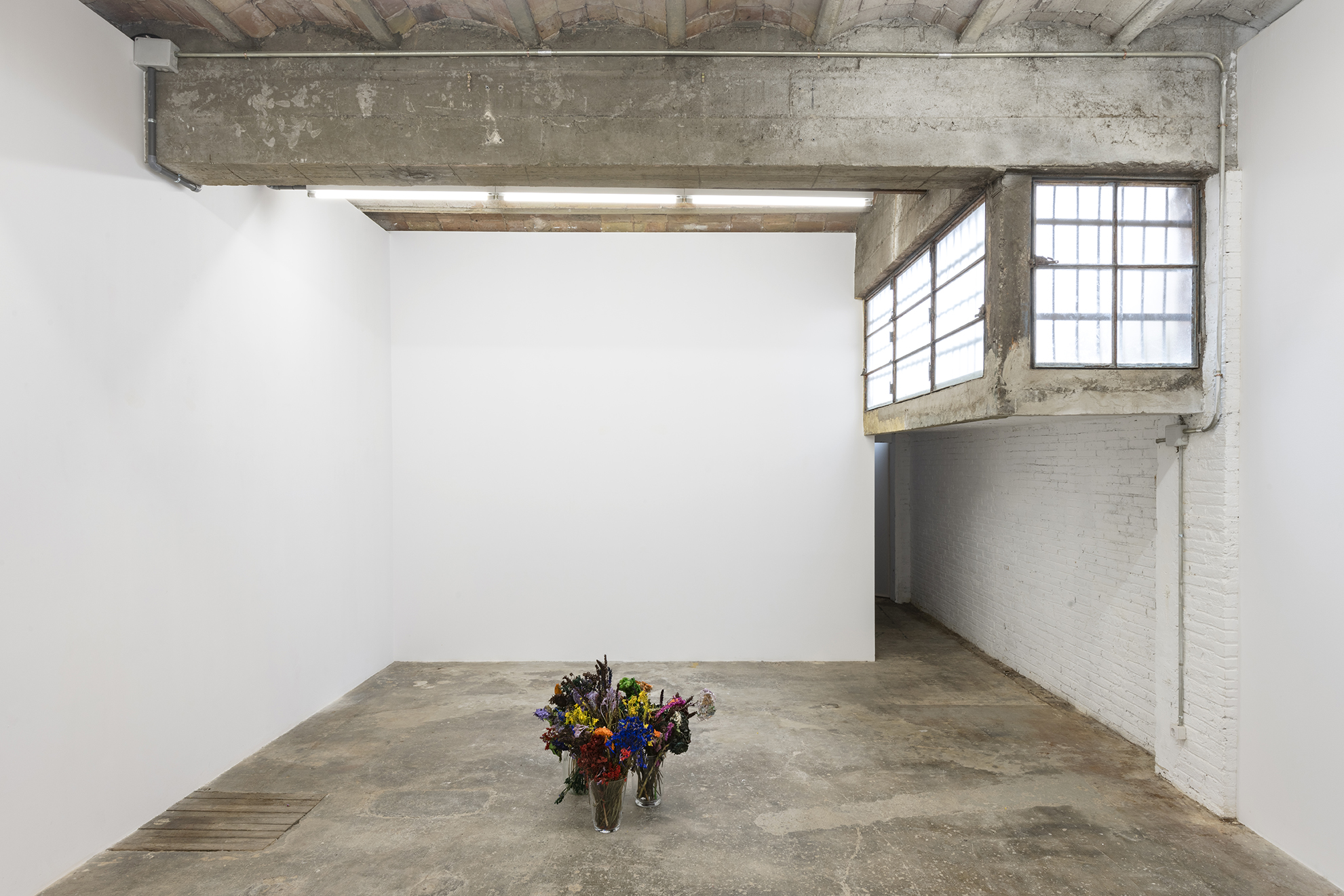 Alegria Summer Residency / David Roth