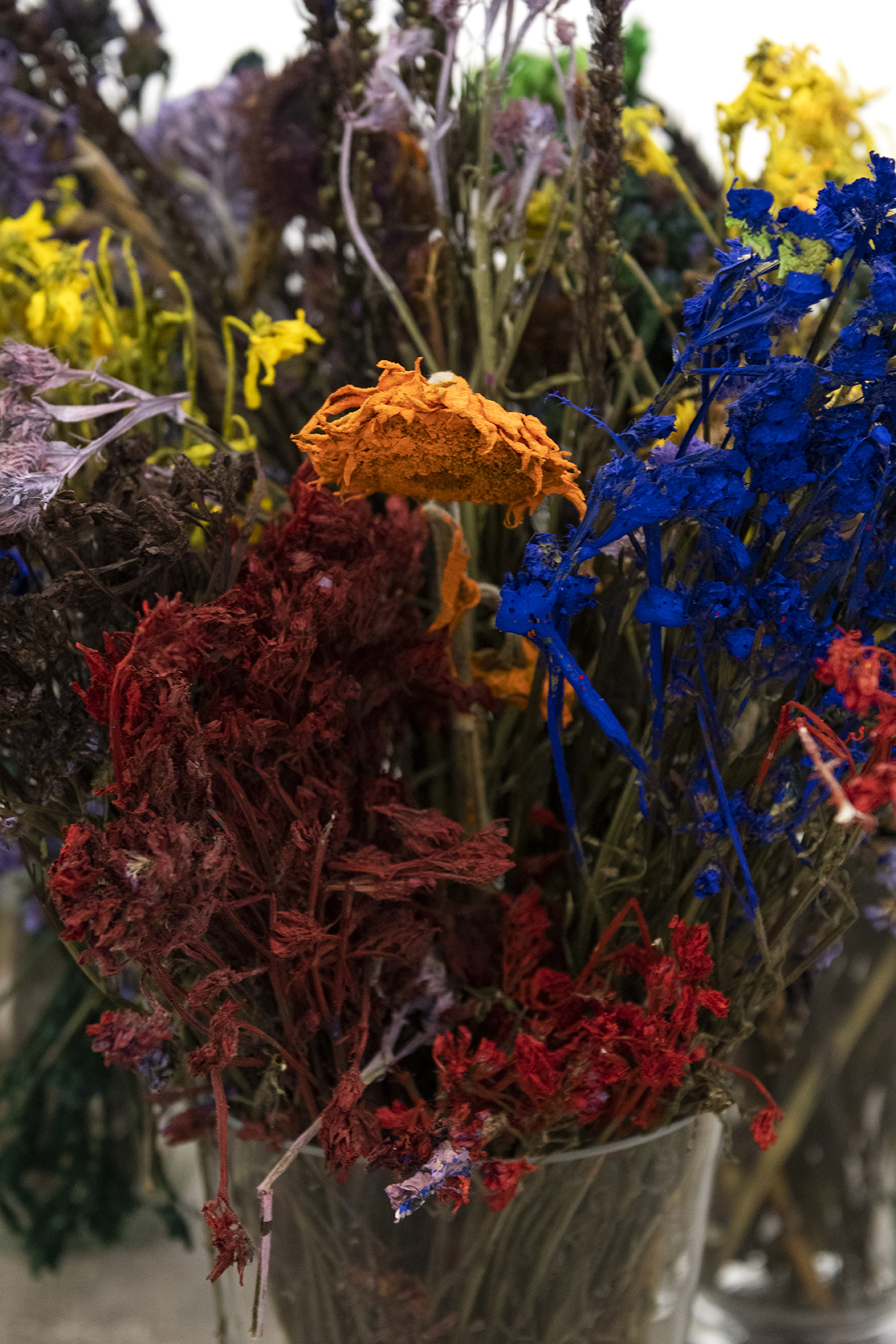 Alegria Summer Residency / David Roth