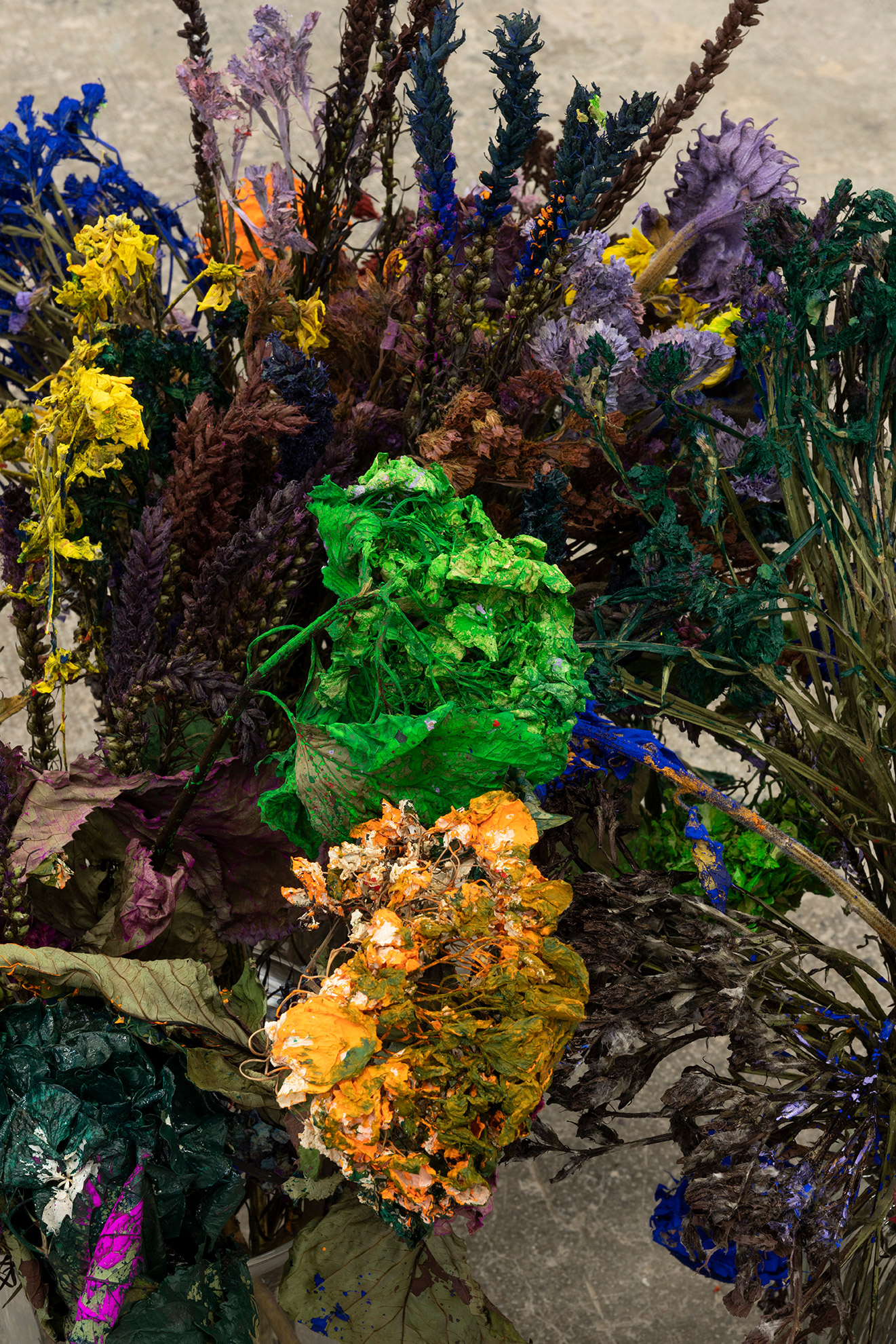 Alegria Summer Residency / David Roth