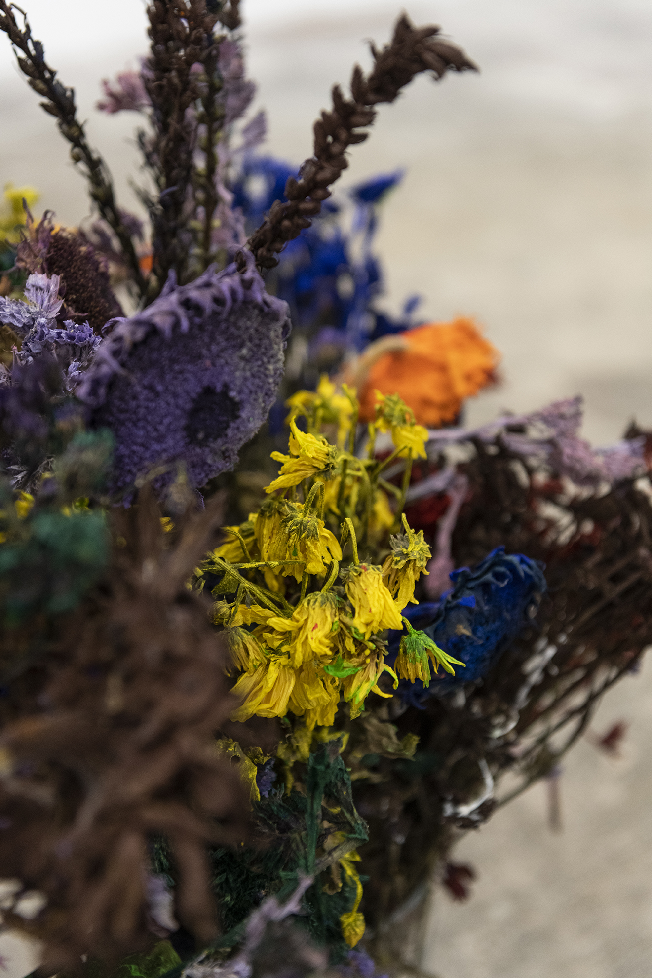 Alegria Summer Residency / David Roth