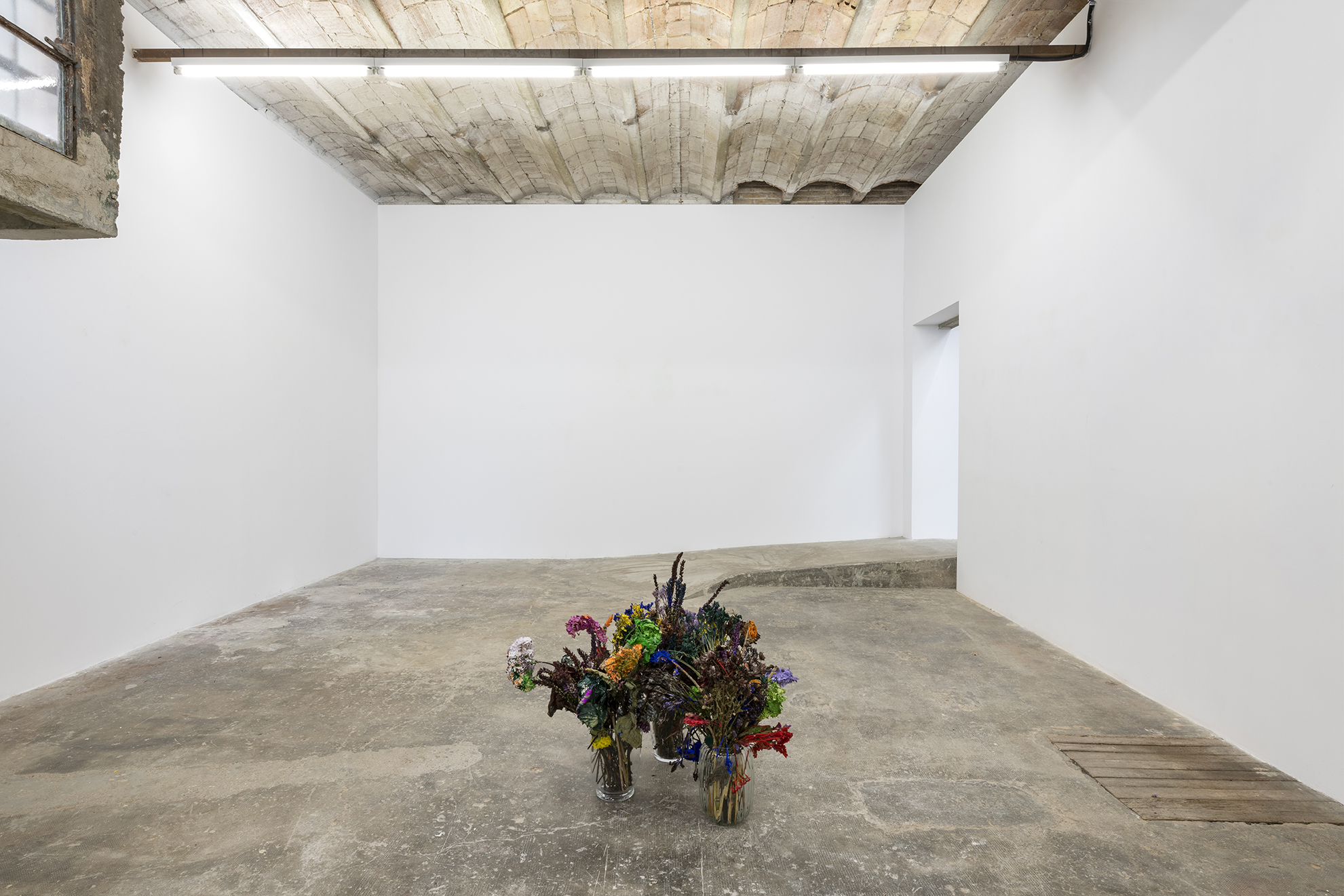 Alegria Summer Residency / David Roth