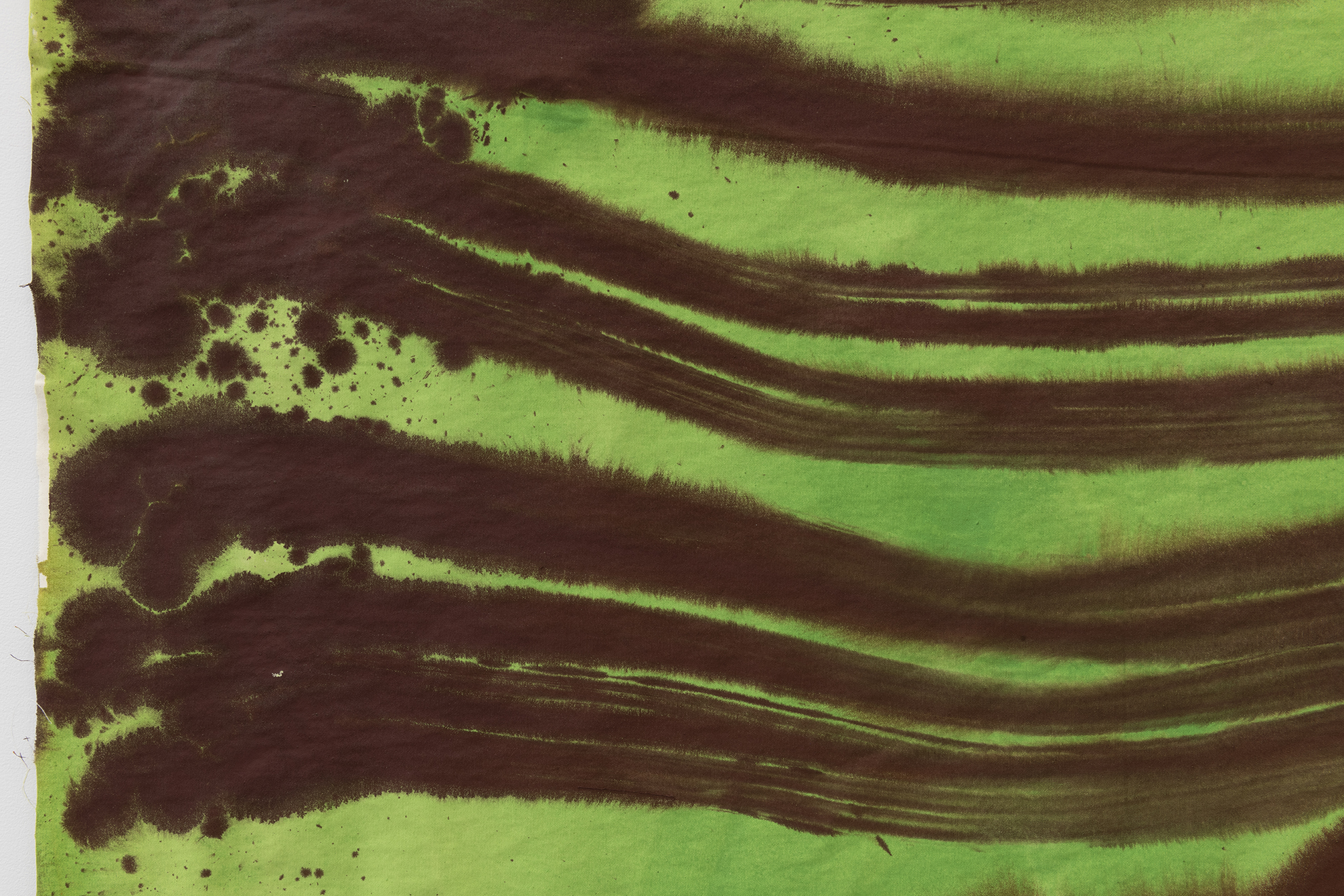 Alegria Summer Residency / David Roth