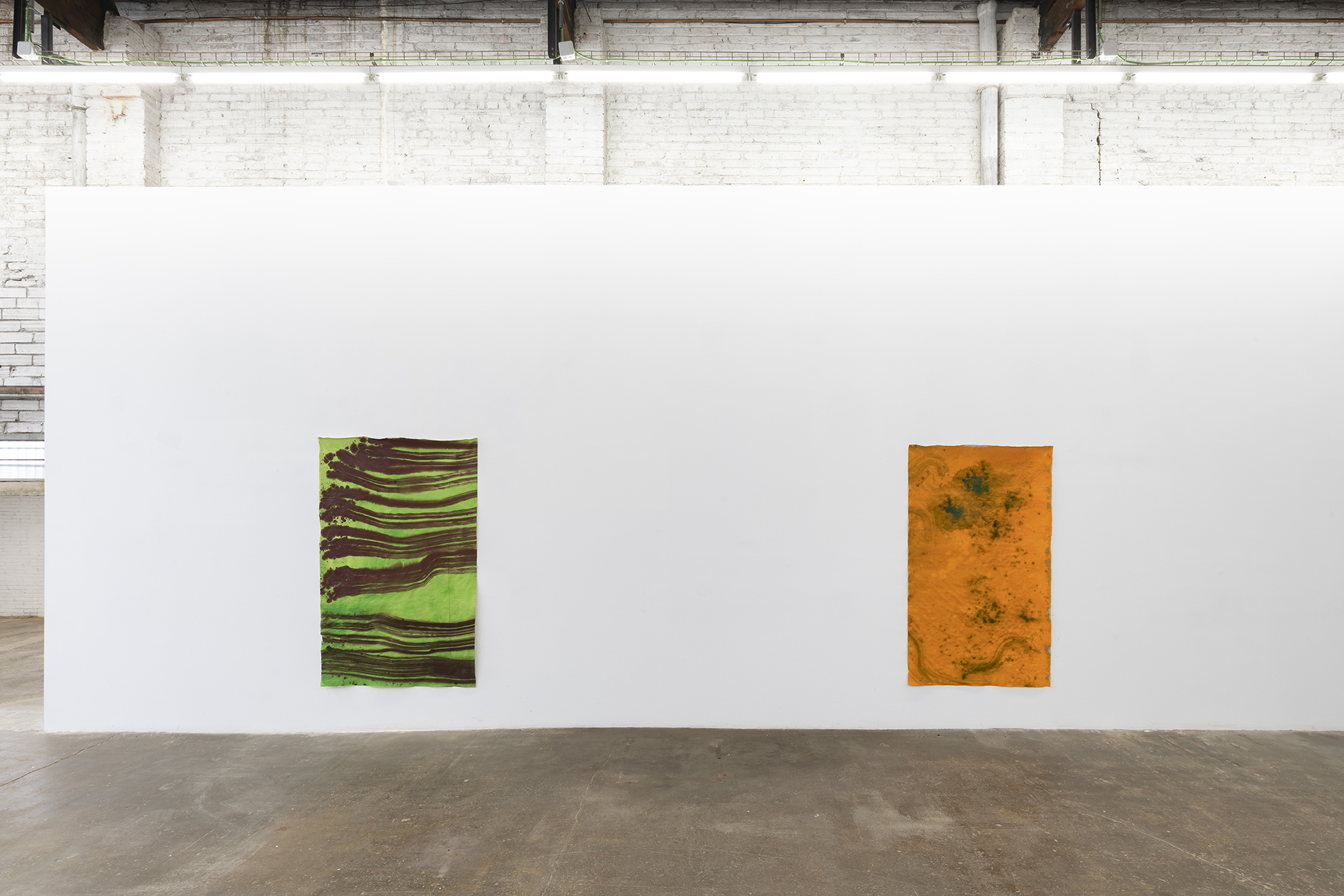 Alegria Summer Residency / David Roth