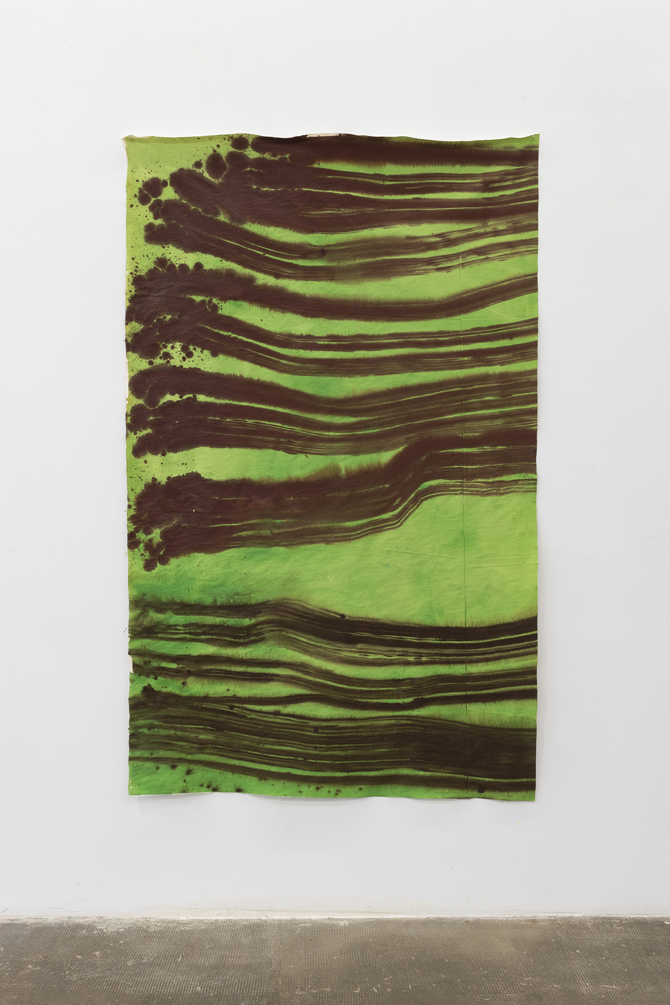 Alegria Summer Residency / David Roth