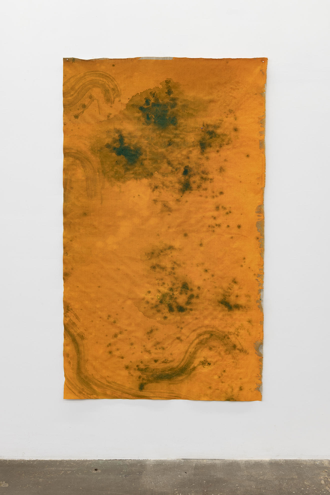 Alegria Summer Residency / David Roth